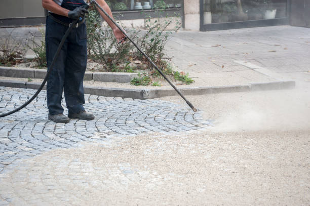 Animal Enclosure Cleaning in Wynantskill, NY